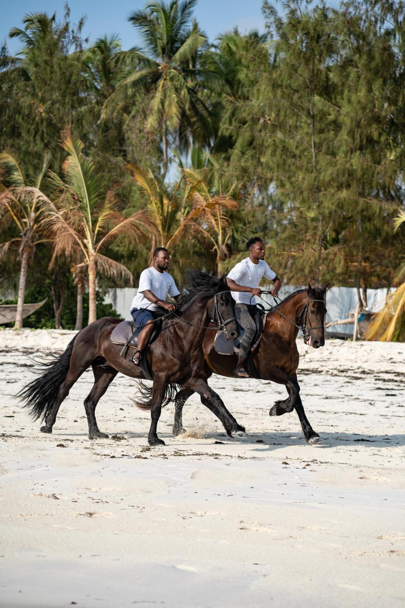 Kinazi Upepo Beach Eco Lodge Paje Exterior photo
